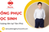 Cần đặt mua đồng phục học sinh số lượng lớn tại Tân Phú? Liên hệ ngay xưởng Phúc An