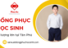 Cần đặt mua đồng phục học sinh số lượng lớn tại Tân Phú? Liên hệ ngay xưởng Phúc An